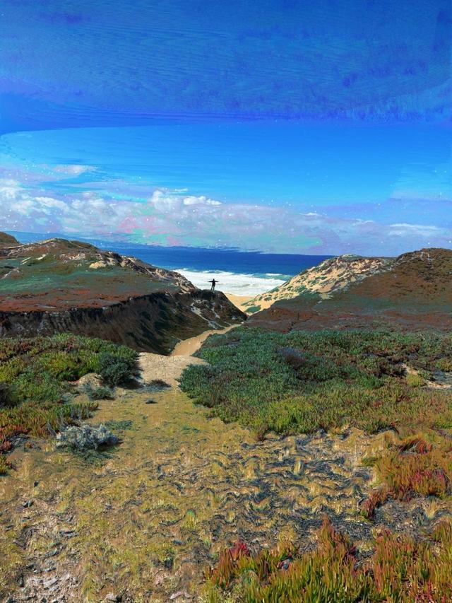 a visit to the beach, on psychedelics
